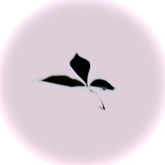 diontae