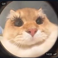 fuck