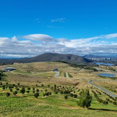 Tui Teaupa
