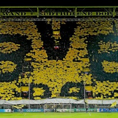 white-lions-слава-патрiотам