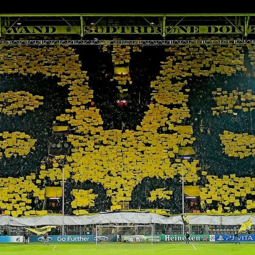 white-lions-слава-патрiотам