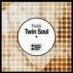 Koala twin soul