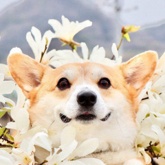 yêu em tại vị trí anh gặp gỡ