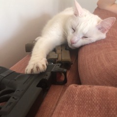 sisu