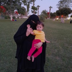 Amira