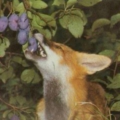 I couldnt come up with a name