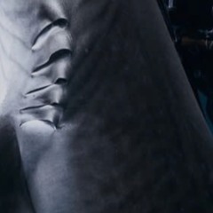 Gills