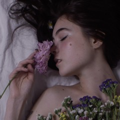 Moonlight Fairy ☽