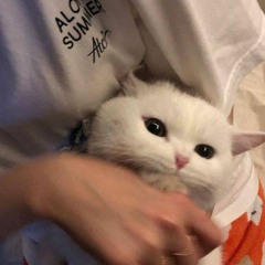 𝐍𝐎𝐔𝐑