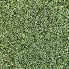 Turf