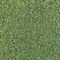 Turf