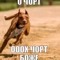 чорт