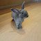 Kris the rabbit