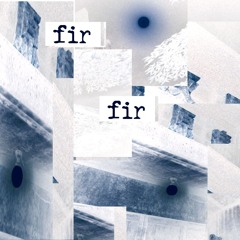 fir