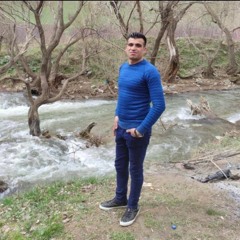 Ramin