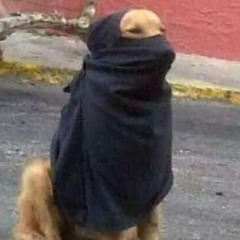 Bandido mal