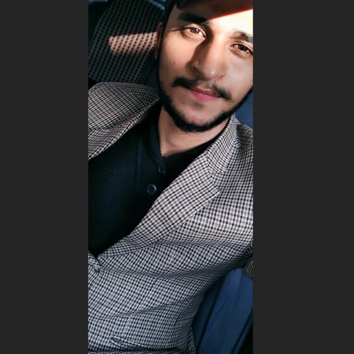 Rajpoot Burhan Bhatti’s avatar
