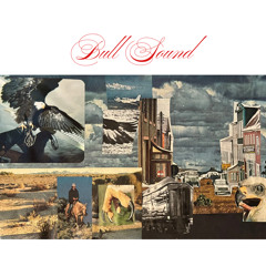 Bull Sound