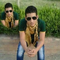احمدبركات حسانين