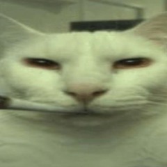 Emiii