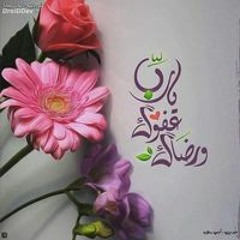 Mona Nasef