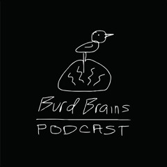 Burd Brains Podcast