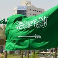 شيماء حسن