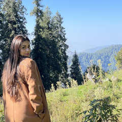 tabeer khan