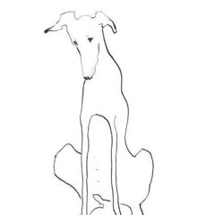 loather #psilo #faith