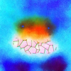 Everything Is Psychedelic