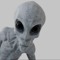 Grey Attma