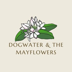 Dogwater & The Mayflowers