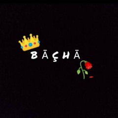 BACHA.  SAIB