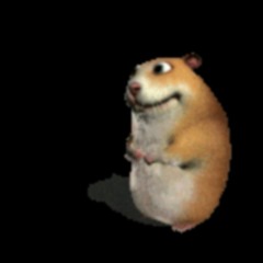 Chomik