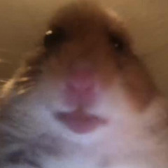 MaksiMate