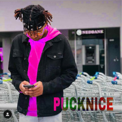 Pucknice