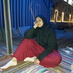 Alaa El Feky