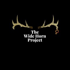 Wide Horn