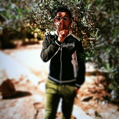 ميسرة محمد
