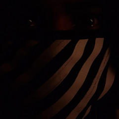 lil fort