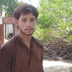 Adeeb Haider
