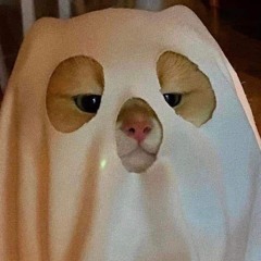🐈‍⬛