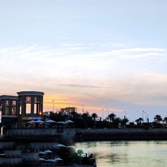 YASSIN MAHMOUD