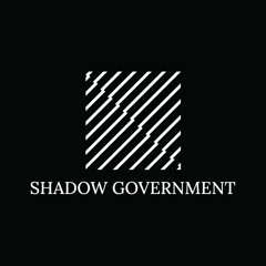 Shadow Government