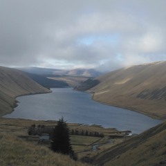 scottish900