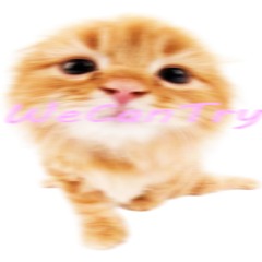 WeCanTry
