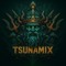 dj TsunamiX
