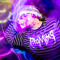 Ouijaboy [@ouijaboy]