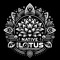NATIVE LOTUS 🪷