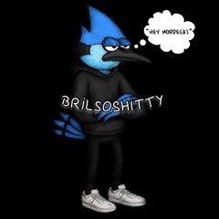 Brilsoshitty